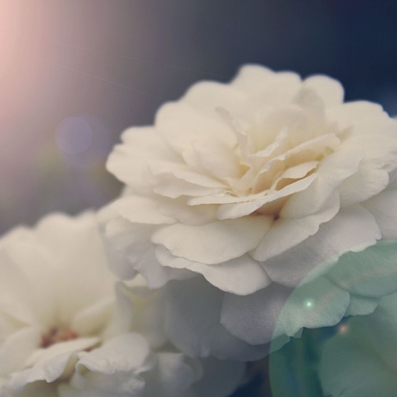 Meet your Posher, Megan - Picture 1 of 1